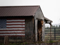 Horse in barn